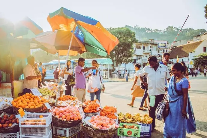 Sri-Lanka-Marche-Circuit-Prometour