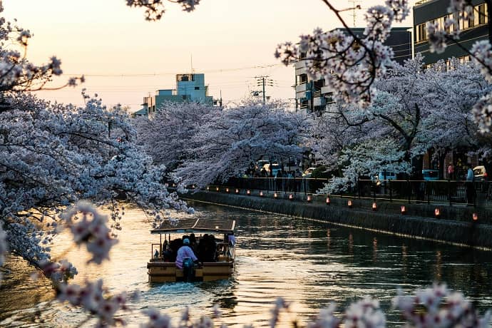 Japon-Circuit-cerisiers-Prometour