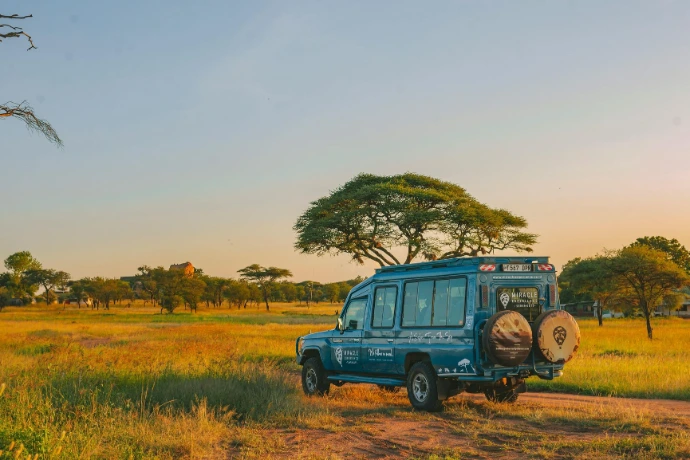 Véhicule 4x4 en safari dans la savane tanzanienne au coucher du soleil, au cœur des grands parcs.