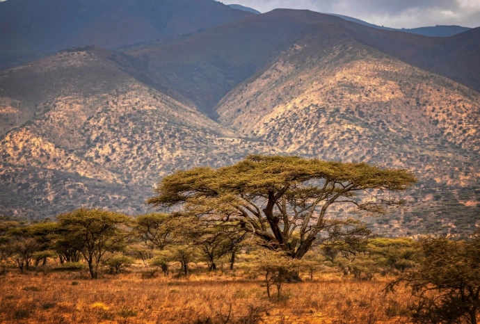 Paysages sauvages de Tanzanie entre savane, reliefs et grands espaces naturels.