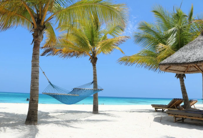 Plage paradisiaque à Zanzibar avec mer turquoise et paysage tropical idéal pour un séjour balnéaire.