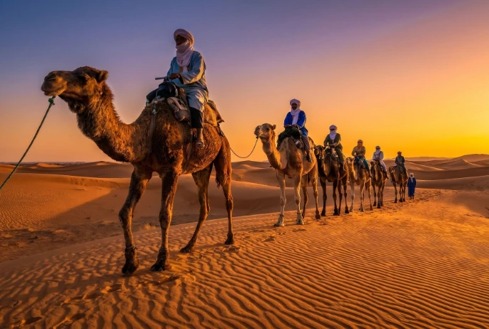 Balade à dos de dromadaire dans le désert marocain